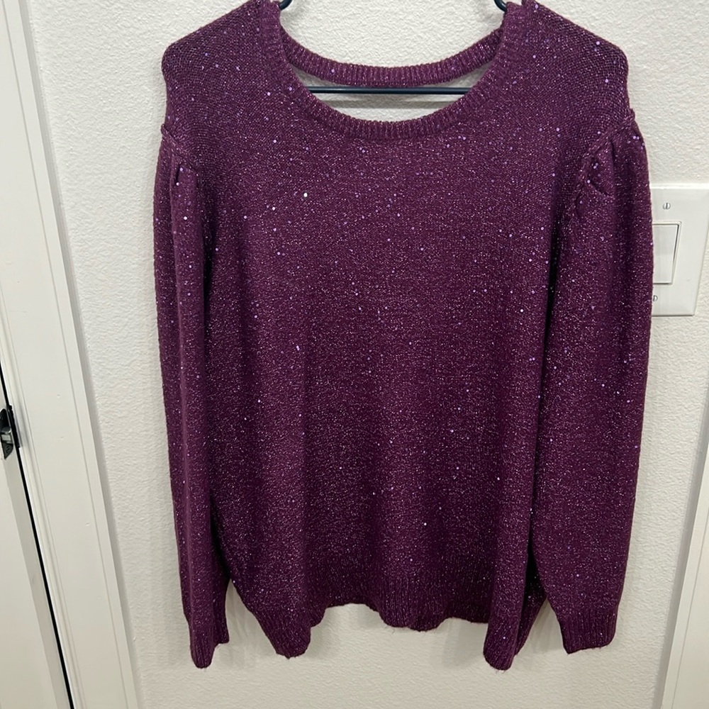 Purple Holiday Sweater with sequins. Never worn